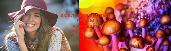 гидропоника Белокуриха