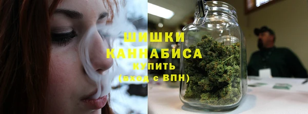 гидропоника Белокуриха