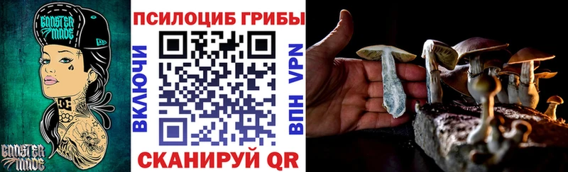 кракен   Уварово  Псилоцибиновые грибы мицелий  цена  
